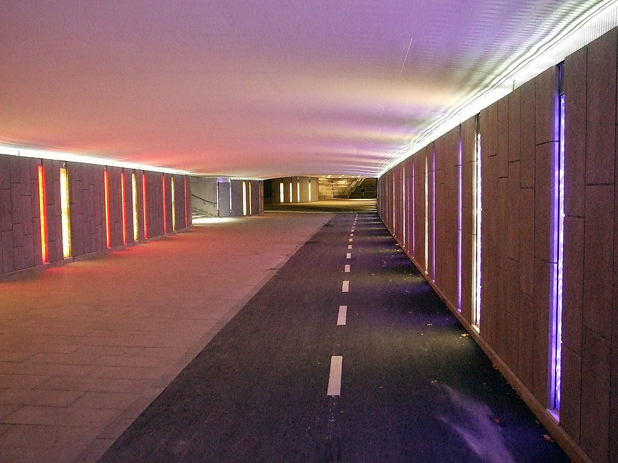 Foto: Michael Hallbert