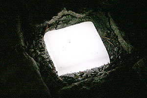 Foto: Thomas Hallbert